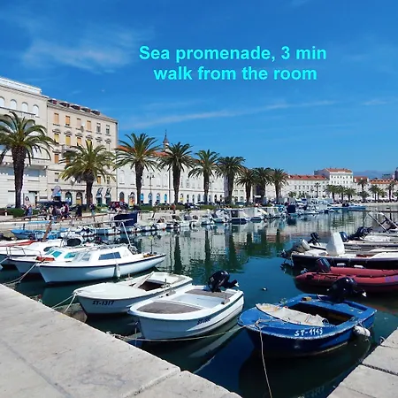 Luxury Ana 1 In The Heart Of